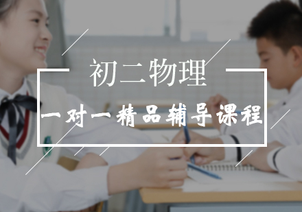 初二物理一对一精品辅导课程
