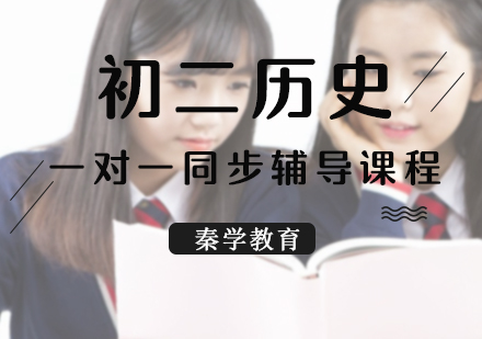 初二历史一对一同步辅导课程