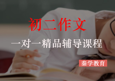 初二作文一对一精品辅导课程