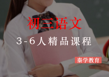 初三语文3-6人精品课程