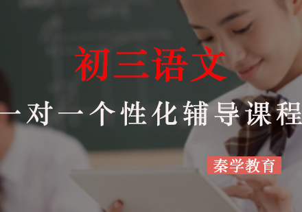 初三语文一对一个性化辅导课程