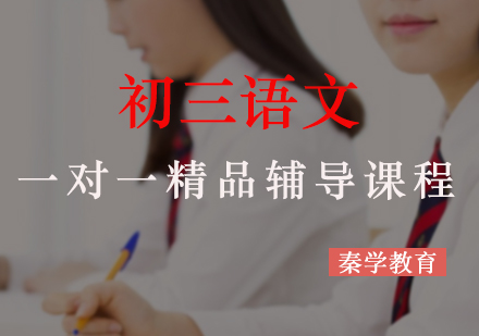初三语文一对一精品辅导课程