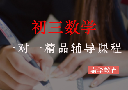 初三数学一对一精品辅导课程