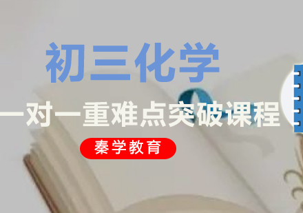 初三化学一对一重难点突破课程