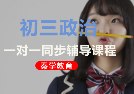 初三政治一对一同步辅导课程