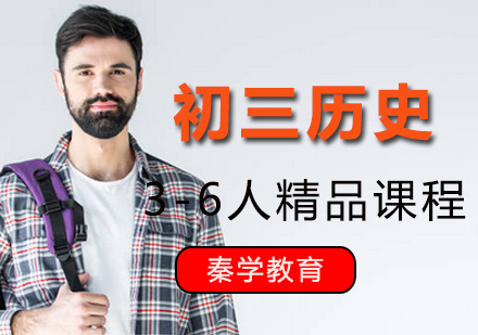 初三历史3-6人精品课程