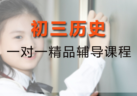 初三历史一对一精品辅导课程