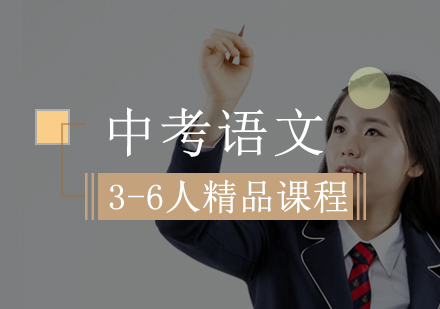 中考语文3-6人精品课程