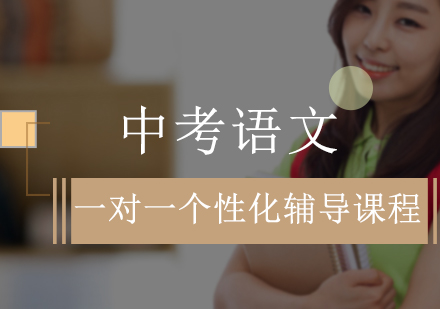 中考语文一对一个性化辅导课程