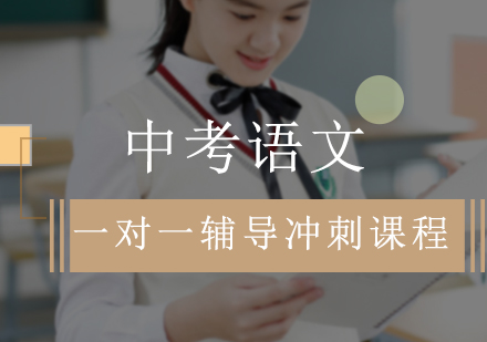 中考语文一对一辅导冲刺课程