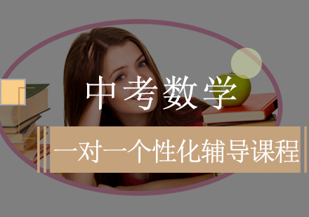 中考数学一对一个性化辅导课程