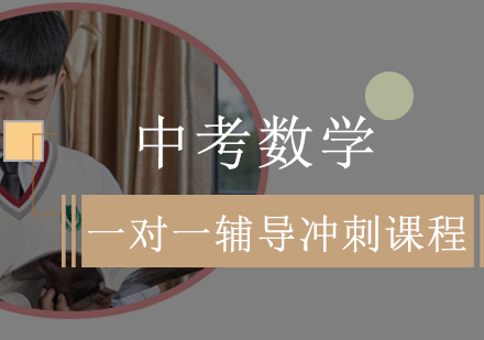 中考数学一对一辅导冲刺课程