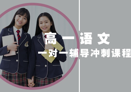 高一语文一对一辅导冲刺课程