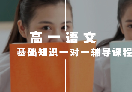高一语文基础知识一对一辅导课程