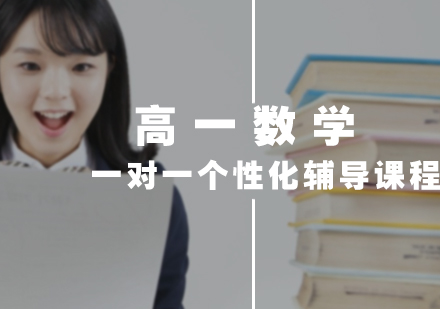 高一数学一对一个性化辅导课程