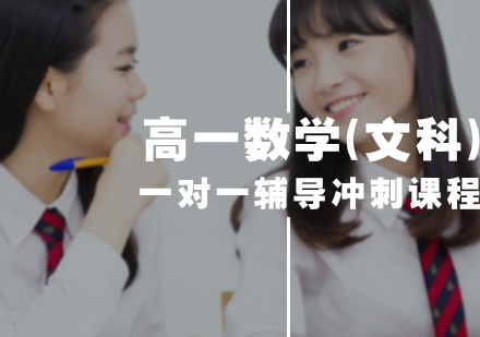 高一数学(文科)一对一辅导冲刺课程