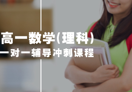 高一数学(理科)一对一辅导冲刺课程