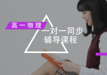 高一物理一对一同步辅导课程