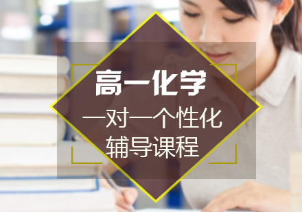 高一化学一对一个性化辅导课程