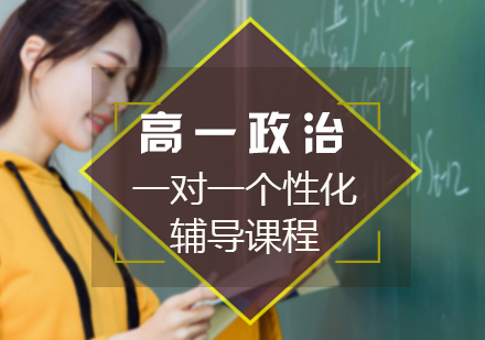 高一政治一对一个性化辅导课程