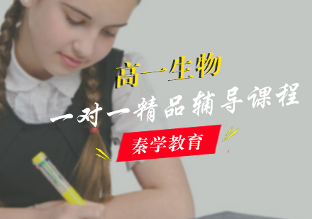 高一生物一对一精品辅导课程