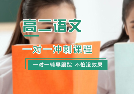 高二语文一对一冲刺课程