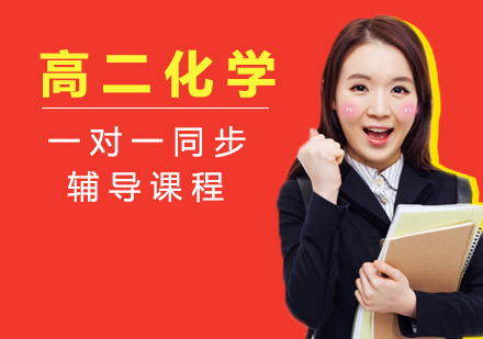 高二化学一对一同步辅导课程
