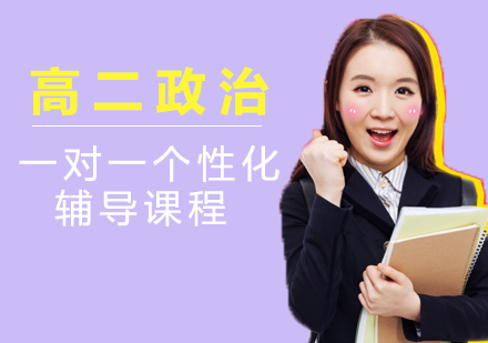 高二政治一对一个性化辅导课程