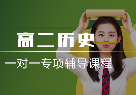 高二历史一对一专项辅导课程