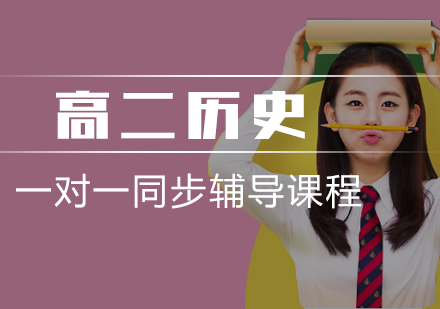 高二历史一对一同步辅导课程