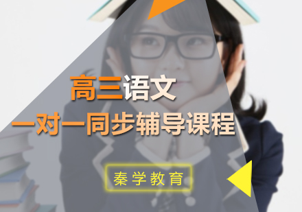 高三语文一对一同步辅导课程