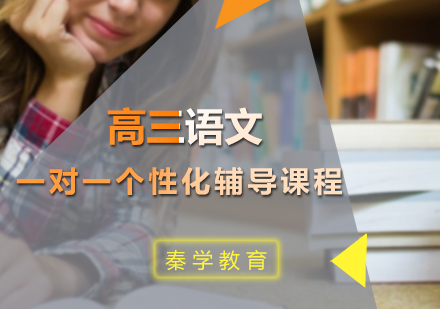 高三语文一对一个性化辅导课程