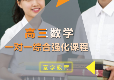 高三数学一对一综合强化课程