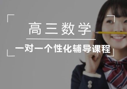 高三数学一对一个性化辅导课程