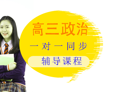 高三政治一对一同步辅导课程
