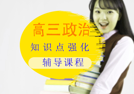 高三政治一对一知识点强化辅导课程