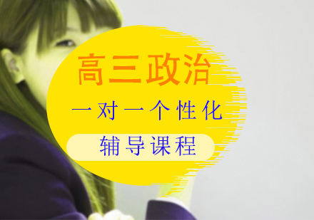 高三政治一对一个性化辅导课程