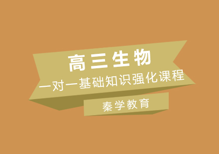高三生物一对一基础知识强化课程