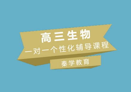 高三生物一对一个性化辅导课程