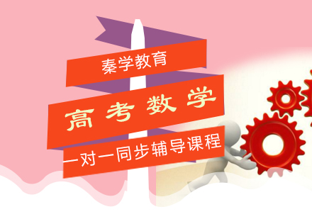 高考数学一对一同步辅导课程