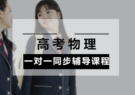 高考物理一对一同步辅导课程
