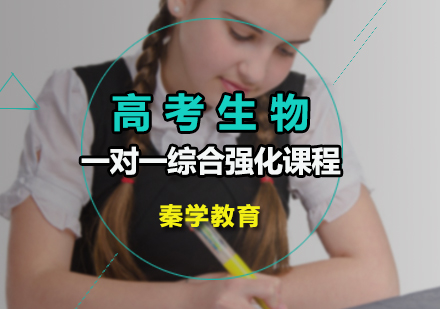 高考生物一对一综合强化课程