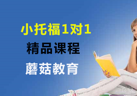 上海小托福1对1精品课程