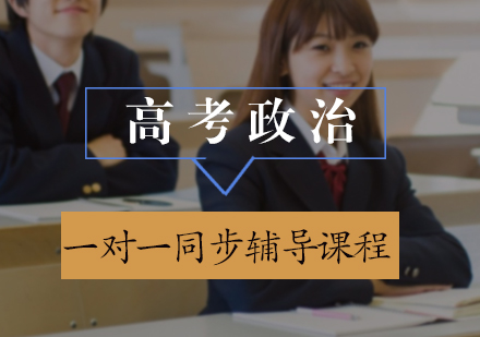 高考政治一对一同步辅导课程
