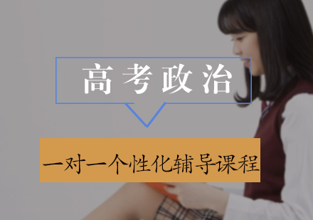 高考政治一对一个性化辅导课程
