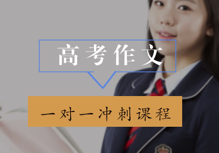 高考作文一对一冲刺课程