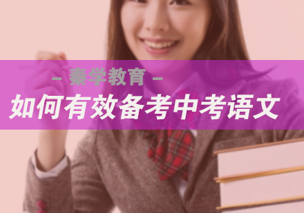 如何有效备考中考语文