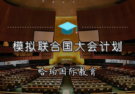 天津模拟联合国大会计划