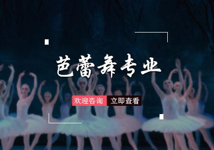 北京芭蕾舞专业培训