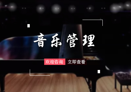 北京音乐管理专业培训